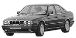 BMW E34 P0610 Fault Code